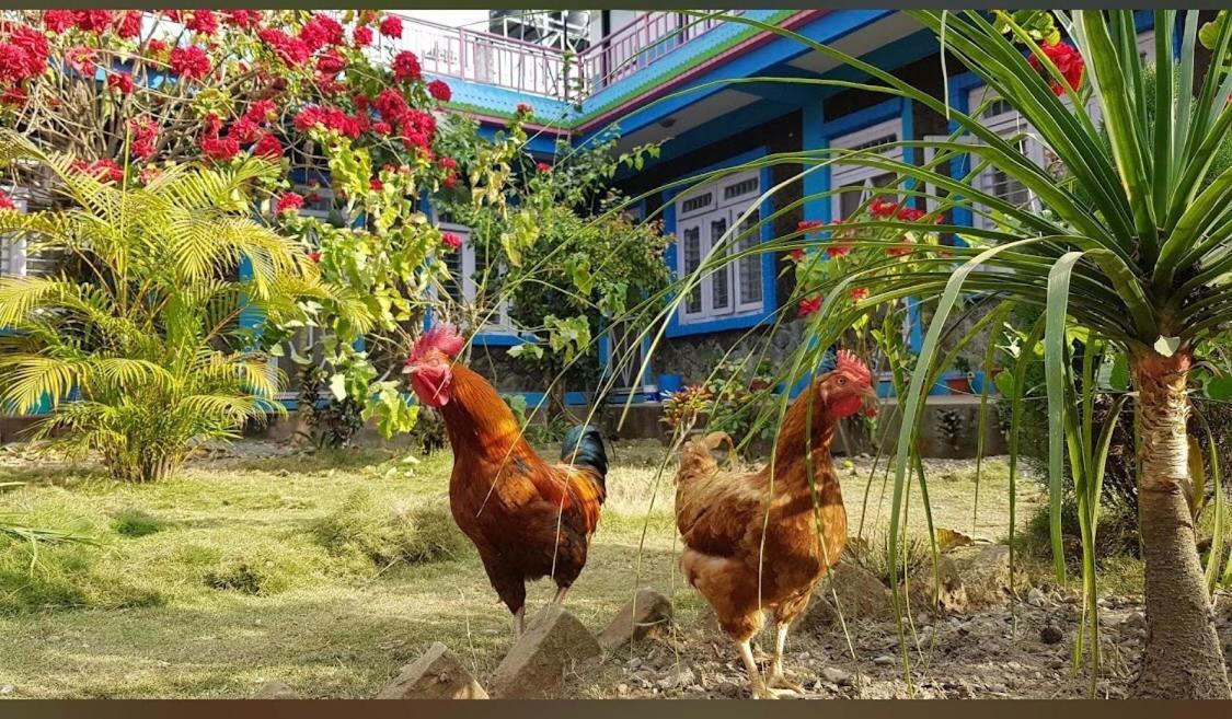 Robins Nest Hotel & Restaurant Deorāli Dış mekan fotoğraf
